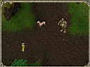 My Llama
